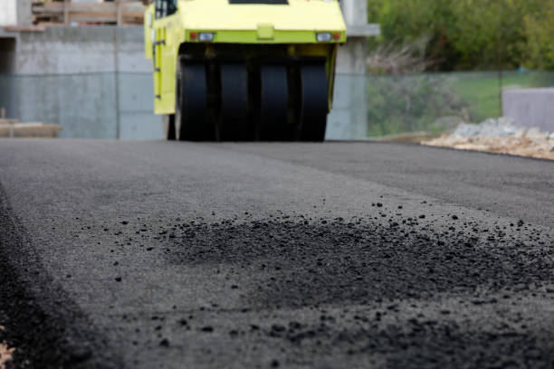 Best Residential Paver Driveway  in Bass Lake, IN