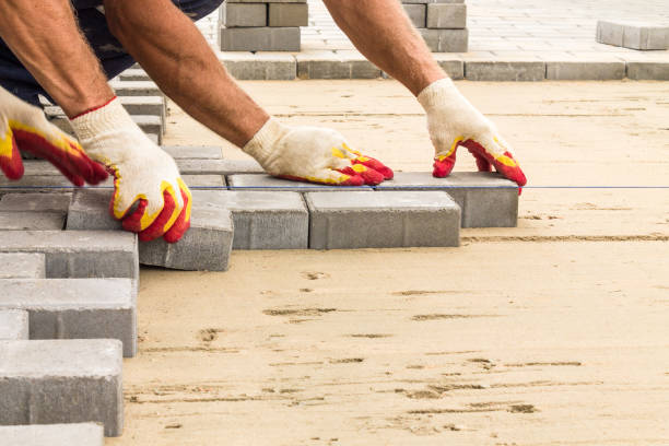 Best Driveway Paving Contractor  in Bass Lake, IN